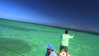 Tarpon school Marathon Florida Keys  fly fishing [upl. by Senn]