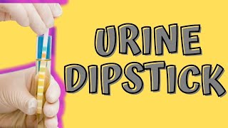 Home Tests for UTI Using “Urine Dipstick” with Dr Robert Chan at Home [upl. by Cadell]