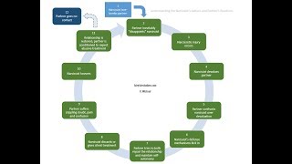 The Expanded Cycle of Narcissistic Abuse [upl. by Heyward613]