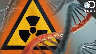 How Radiation Changes Your DNA [upl. by Lanta373]