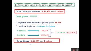 TD sur le catabolisme des acides gras [upl. by Rosdniw]