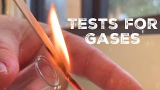 GCSE Science Chemistry 91  Tests for Gases [upl. by Vanhomrigh]