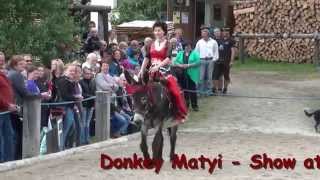 Donkey Riding Belly Dance Show [upl. by Bohner]