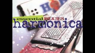 Essential Blues Harmonica  Full Album  Disc 1  Disc 2 [upl. by Sinegra]