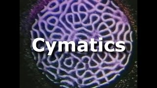 Cymatics full documentary part 1 of 4 Bringing matter to life with sound [upl. by Cr]