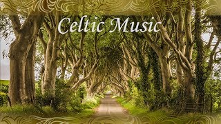 Celtic Instrumental Relaxing Music quotSt Patricks Day Musicquot by Tim Janis [upl. by Atnoved]