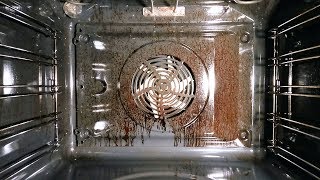 How to selfclean an oven My first test [upl. by Noirb]