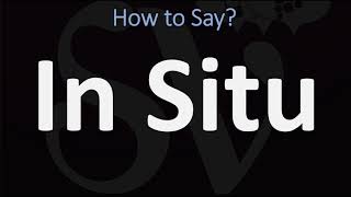 How to Pronounce In Situ CORRECTLY [upl. by Airdna]