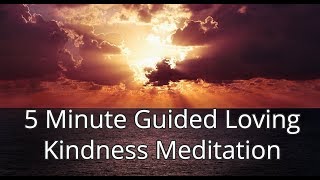 5 Minute Guided Loving Kindness Meditation [upl. by Mota746]