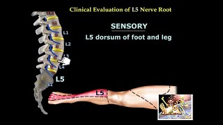 Dr Robert Duncan on Remote Neural Monitoring and Artificial Telepathy Synthetic Telepathy [upl. by Utta687]