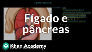 Fígado e pâncreas [upl. by Keyser]