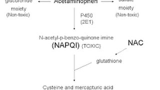 Acetaminophen Toxicity  Poisoning [upl. by Saxena150]