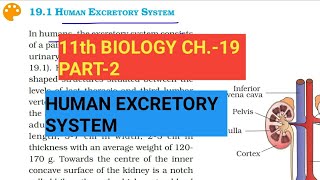 Class 11 BiologyCh19 Part2Human Excretory SystemStudy with Farru [upl. by Sansen]