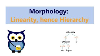 Morphology Linearity hence Hierarchy [upl. by Rahsab]