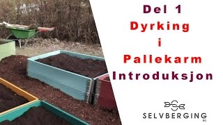 Pallekarm Intro [upl. by Giacobo]