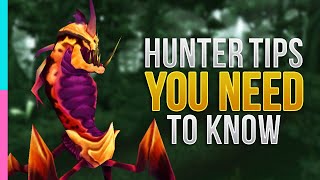 TBC Hunter Essential Guide  Burning Crusade Primer  WoW TBC Classic [upl. by Enyledam666]