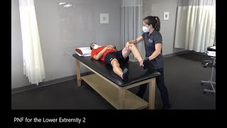 PNF Proprioceptive Neuromuscular Facilitation for the Lower Extremity [upl. by Pasia]