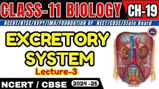 EXCRETORY SYSTEM I L3 I CHAPTER  19 I CLASS11 I NEETCBSEState Board [upl. by Adnopoz980]