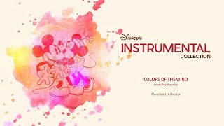 Disney Instrumental ǀ Neverland Orchestra  Colors Of The Wind [upl. by Dickman]