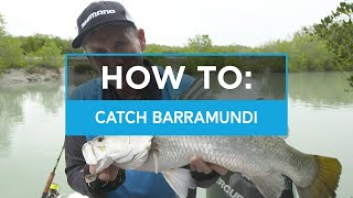 HOW TO Catch Barramundi in creeks and drains [upl. by Enyahc993]