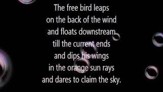 Caged Bird by Maya Angelou [upl. by Yendor]