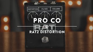 ProCo RAT2 Distortion Original  Reverb Demo Video [upl. by Rocco761]