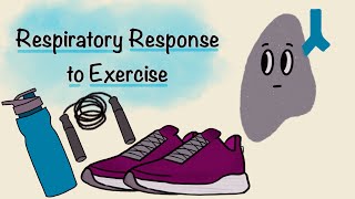 Respiratory Response To Exercise  Respiratory Physiology [upl. by Xad]