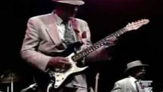 Hubert Sumlin  Come On In My House [upl. by Ailis]