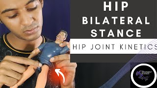 HIP JOINT BILATERAL STANCE HIP COMPLEX BIOMECHANICSPhysiotherapy Tutorials [upl. by Iadrahs]