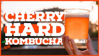 HARD KOMBUCHA How to Make Kombucha With Alcohol [upl. by Naujud]