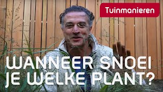 Wanneer snoei je welke planten  Tuinmanieren [upl. by Nebur399]