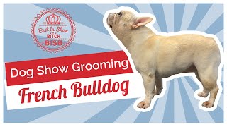 Dog Show Grooming How To Groom a French Bulldog [upl. by Ariuqahs]