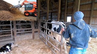 Real Life Day of a Dairyman [upl. by Leonid137]