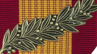 Vietnam RVN Gallantry Cross Medal  Medals of America [upl. by Shiau]