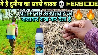 Most Powerful NonSelective Herbicide Used in Agriculture destroy all weeds in hours [upl. by Cran]