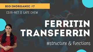 Ferritin  Transferrin  storage and transport of iron  chemicos academy [upl. by Kapeed]