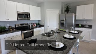 D R Horton Cali Model Home Tour [upl. by Otsuj]