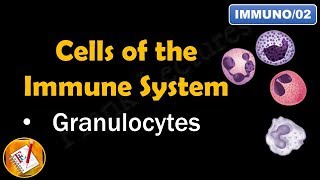 👉 High Eosinophil Count  Causes  By Dr Rupal Shorts [upl. by Nawrocki]