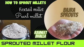 How To sprout millets Bajra ampfoxtail millet sprouted flour [upl. by Nemracledairam793]