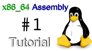 x8664 Linux Assembly 1  quotHello Worldquot [upl. by Marylinda]