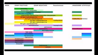 Antibiotic Coverage Made Easy  USMLE  COMLEX [upl. by Silvain486]