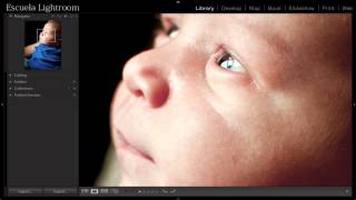 Lightroom 5 Cómo hacer Zoom en Lightroom [upl. by Munro]