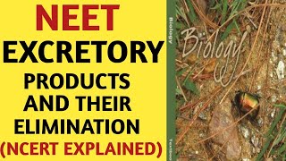 Excretory Products And Their EliminationClass 11NCERTChapter 19Quick Revision SeriesNEETAIIMS [upl. by Bluefield]