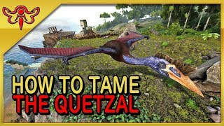 ARK Survival Evolved Tutorial  How to Solo Tame the Quetzal [upl. by Mikal]