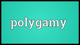 Polygamy Meaning [upl. by Nelrsa]