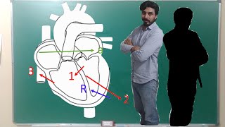 FISIOLOGÍA CARDIACA  ECG 105 VECTORES CARDIACOS [upl. by Kattie]