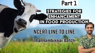 Strategies for enhancement in Food Production  Part 1  NCERT LINE TO LINE  Thannambikkai Batch [upl. by Martha]