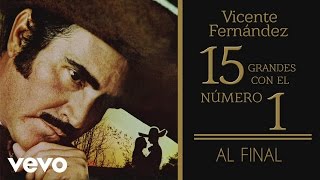 Vicente Fernández  Al Final Tema Remasterizado Cover Audio [upl. by Yarod530]