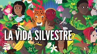 Día Mundial de la Vida Silvestre  3 de marzo  Atlanix [upl. by Particia]