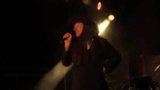 quotWeird Alquot Yankovic  Amish Paradise Live at Red Rocks [upl. by Nasya898]